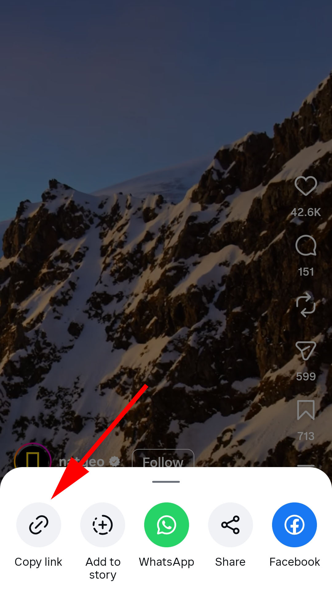 Instagram Downloader: Videos, Photos, Reels & Carousels screenshot